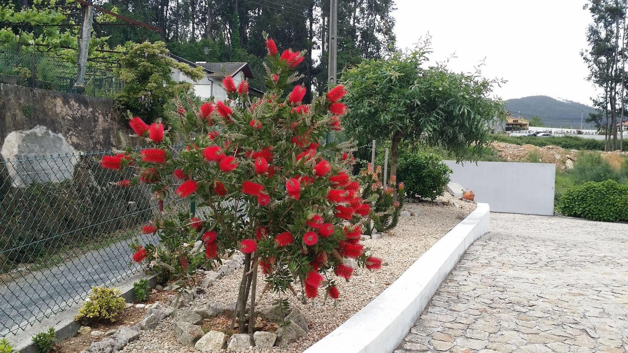 Casa Do Porto Carreiro Villa Оливейра де Аземейс Екстериор снимка